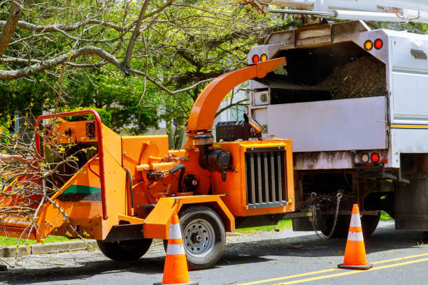 Seasonal Cleanup in Leesburg, VA